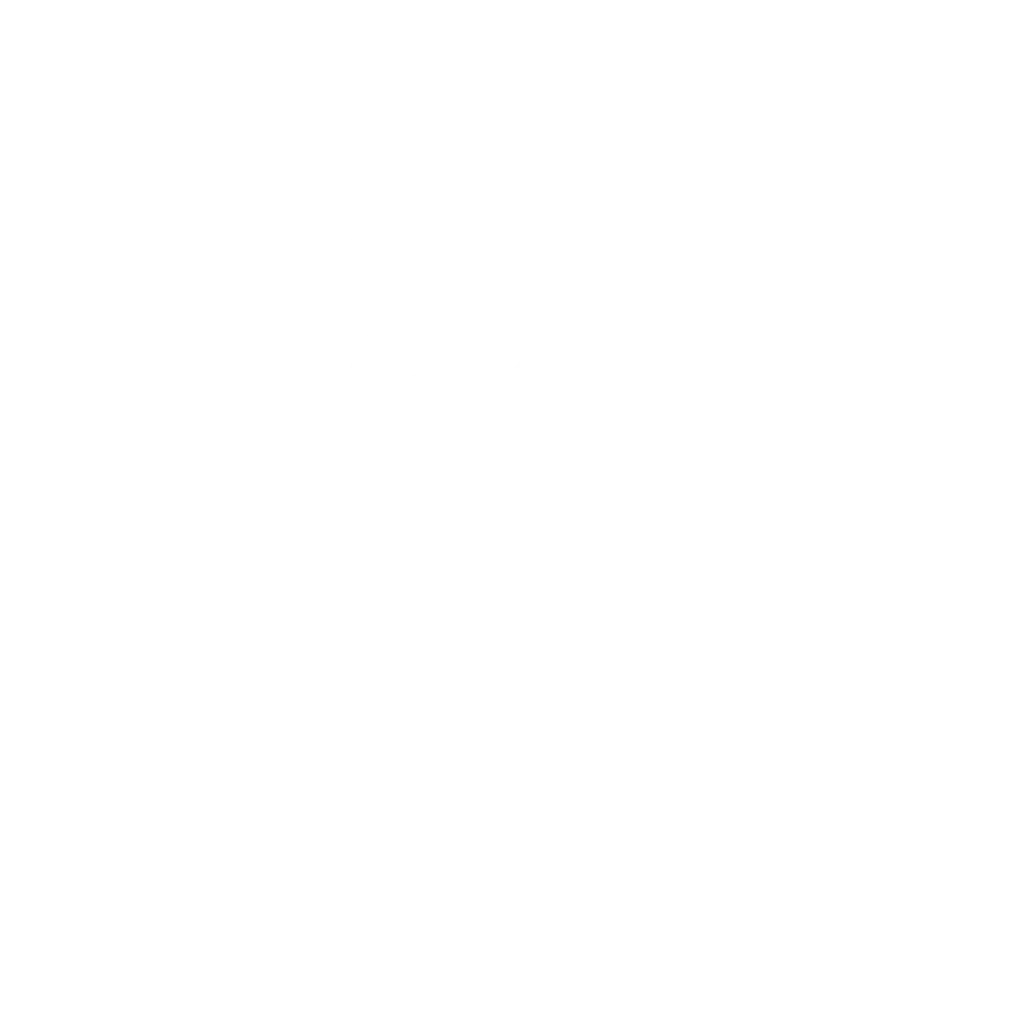 logo Le Domaine des Cygnes en blanc